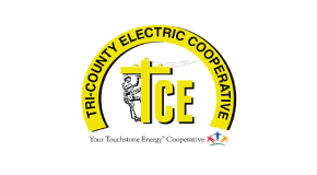 logo_tce